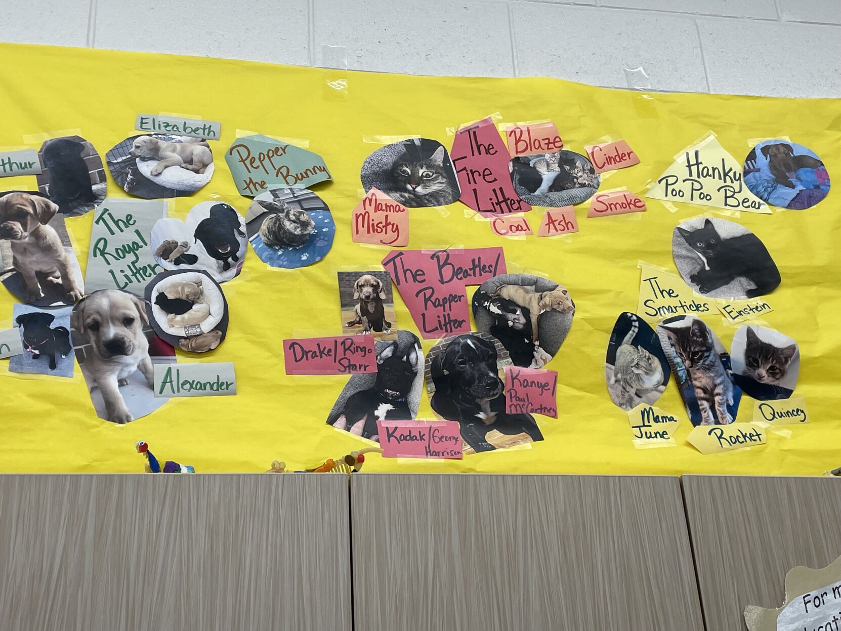 Adopted animal banner2.jpeg